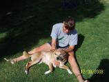 Kerri giving reiki to Tito